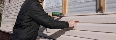 Best Vinyl Siding Installation  in Ripley, OH